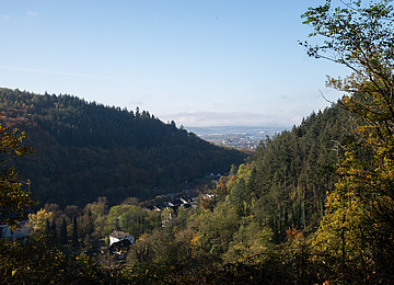 Saynsteig - Bendorf Sayn